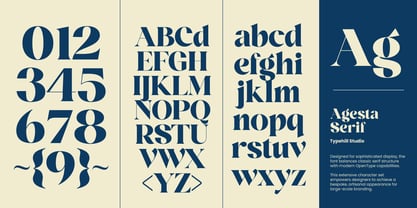 Agesta Serif Font Poster 8