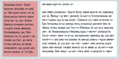 PN Pollyposies Font Poster 5