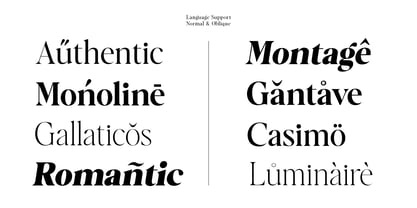 Casimo Font Poster 8