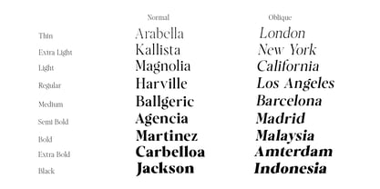 Casimo Font Poster 13