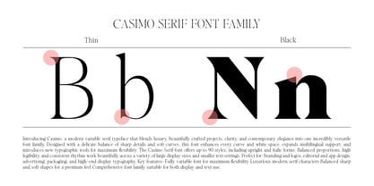 Casimo Font Poster 11