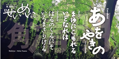 Kaku Seimei Kana Font Poster 5