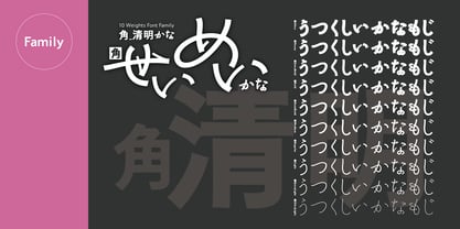 Kaku Seimei Kana Font Poster 4