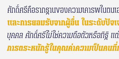 Saksree Font Poster 2