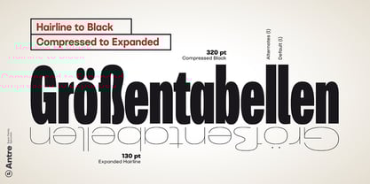 Antre Font Poster 15