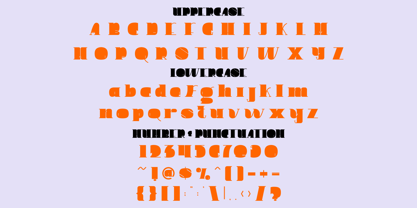 Elviro Font Poster 5