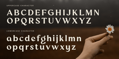 Moonlight Font Poster 13