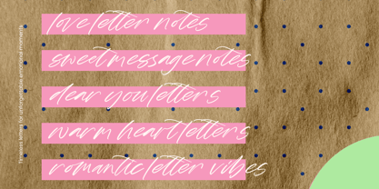 Rustic Diary Font Poster 14