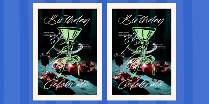 Rustic Diary Font Poster 2