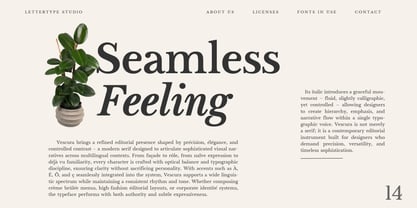 Vescura Font Poster 3