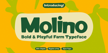 Molino Font Poster 1