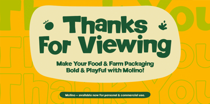 Molino Font Poster 10