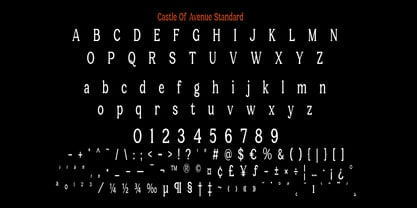 Castle Of Avenue Font Poster 9
