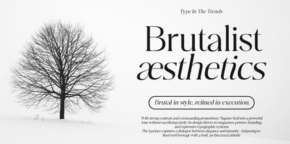 Plakent Font Poster 6