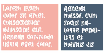 ZP Flowering Font Poster 5