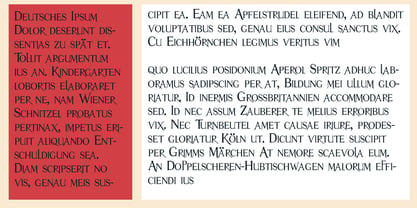 ZP Mullah Font Poster 4