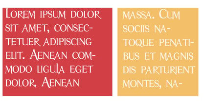 ZP Mullah Font Poster 7
