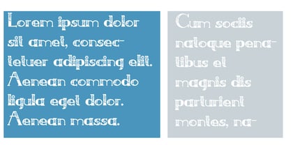 PN French Florals Font Poster 3