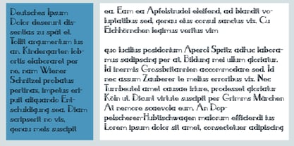 PN French Florals Font Poster 6