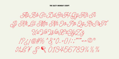 The Salty Monday Font Poster 12