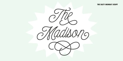 The Salty Monday Font Poster 8