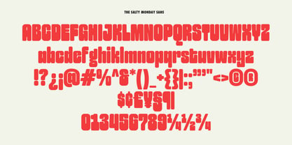 The Salty Monday Font Poster 11