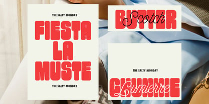 The Salty Monday Font Poster 9