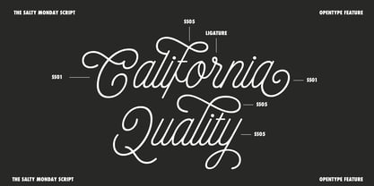 The Salty Monday Font Poster 13