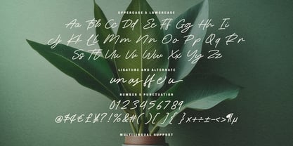MC Tungle Rastu Font Poster 6