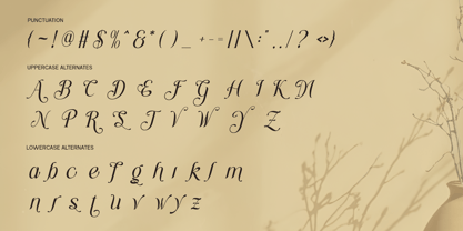 Grache Hustle Font Poster 10