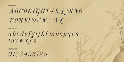 Grache Hustle Font Poster 9