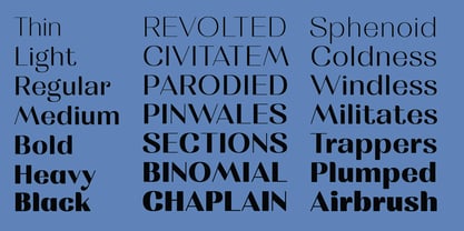 MTC Rachstela Font Poster 6