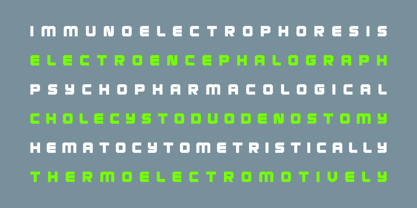 Neora Font Poster 9