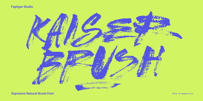 Kaiser Brush Font Poster 1
