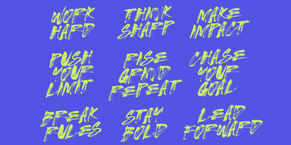Kaiser Brush Font Poster 6