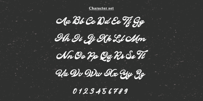 Camela Coast Font Poster 8