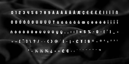 Roddo Font Poster 2