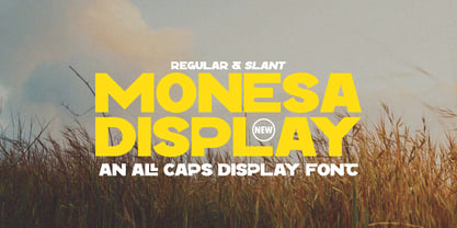 Monesa Display Slant Font Poster 1