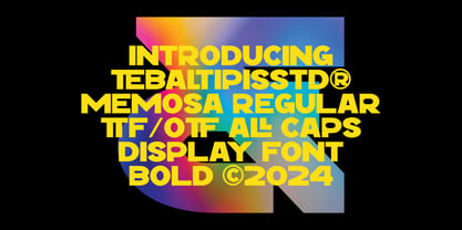 Monesa Display Slant Font Poster 9