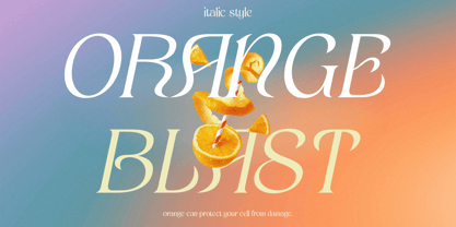 Sheilina Font Poster 2