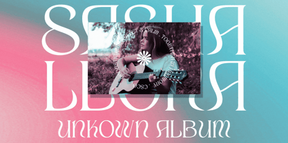 Sheilina Font Poster 4