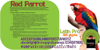 Red Parrot Font Poster 5