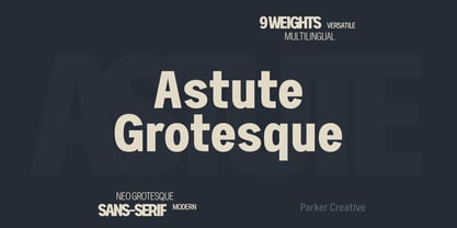 Astute Grotesque Font Poster 1