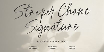 MC Streper Chane Font Poster 1