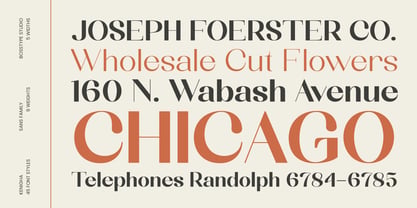 Kenigha Font Poster 6