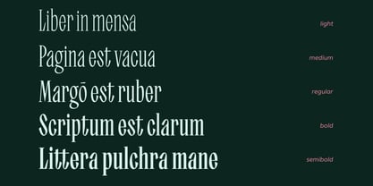 Trixy Font Poster 11