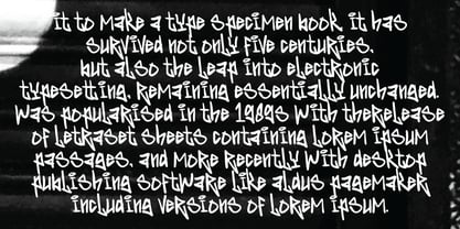 Poney Bear Graffiti Font Poster 3