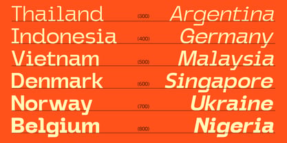 Griga Sans Font Poster 14