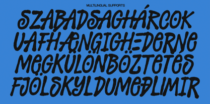 Bodark Font Poster 8