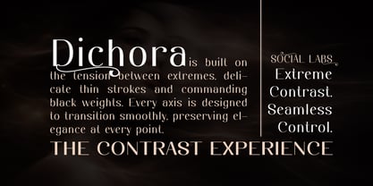 Dichora Font Poster 8